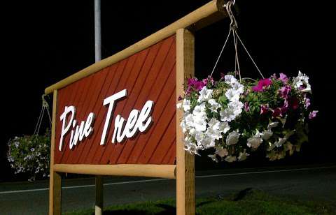 Jobs in Pine Tree Bungalows - reviews